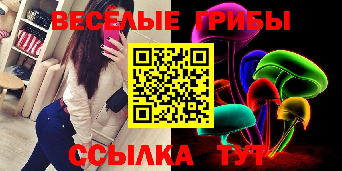 Галлюциногенные грибы Psilocybe Грязи